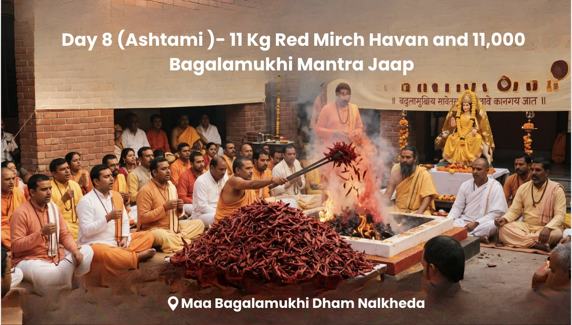 Day 8 (Ashtami) - 11 Kg Red Mirch Havan and 11,000 Bagalamukhi Mantra Jaap