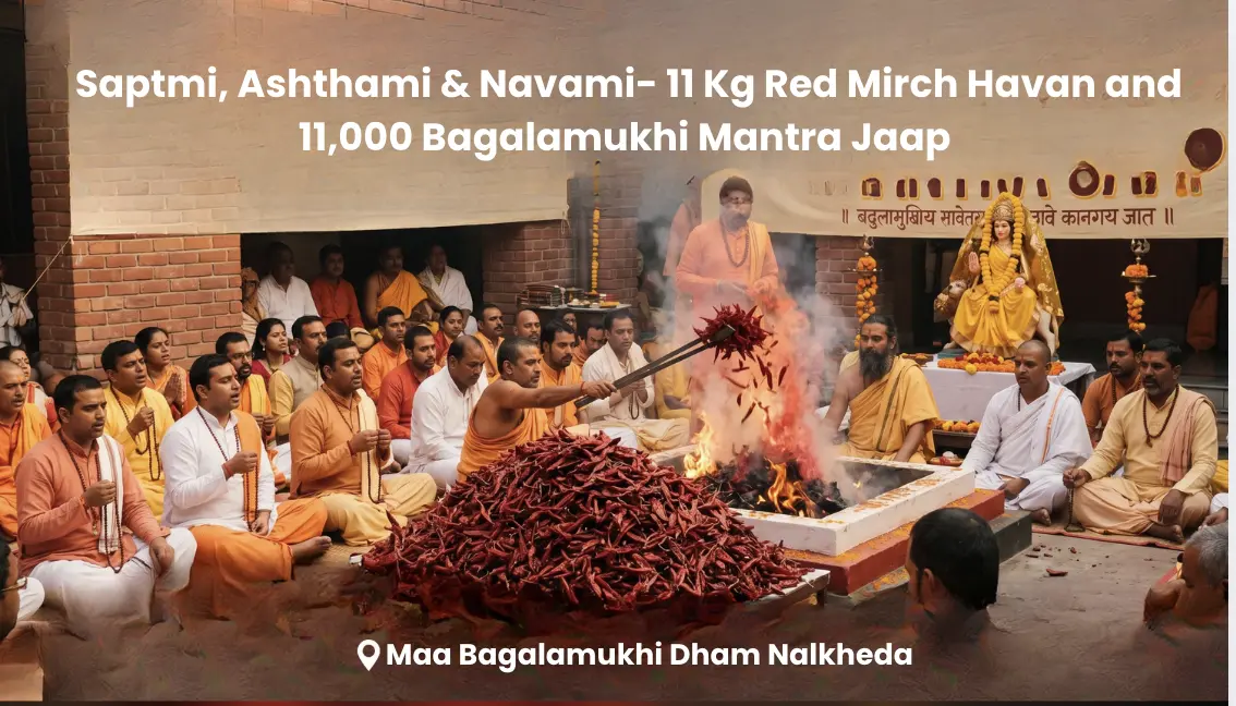 Saptmi, Ashthami & Navami- 11 Kg Red Mirch Havan and 11,000 Bagalamukhi Mantra Jaap