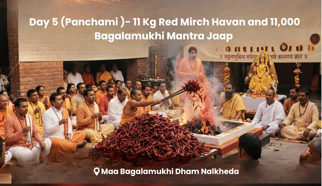 Day 5(Panchami) - 11 Kg Red Mirch Havan and 11,000 Bagalamukhi Mantra Jaap
