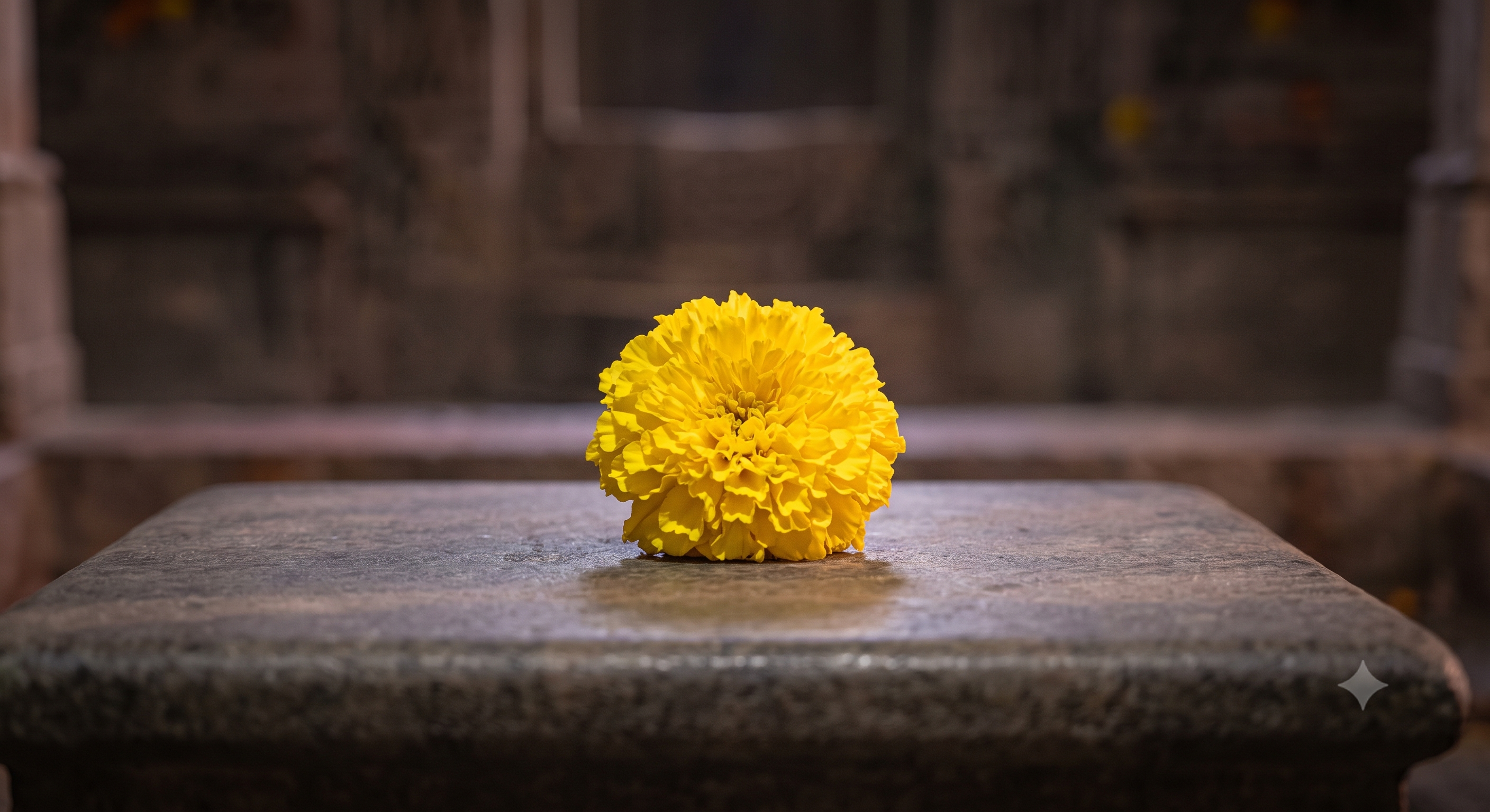 Yellow Flower