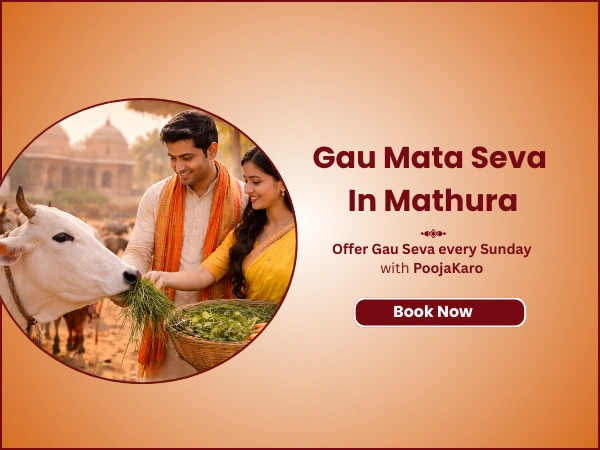 Gau Mata Seva in Mathura ЁЯРД