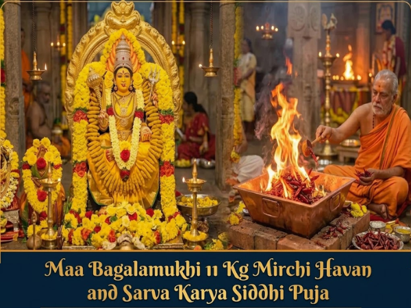 Maa Bagalamukhi 11 Kg Mirchi Havan and Sarva Karya Siddhi Puja