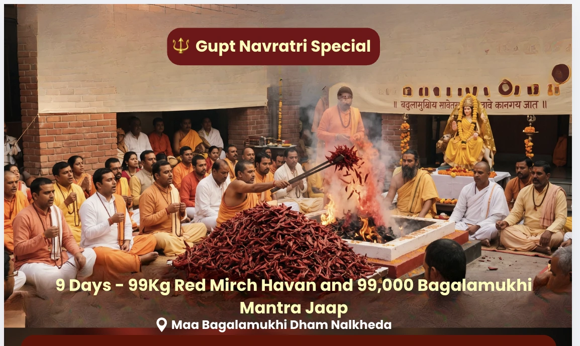 9 Days - 99Kg Red Mirch Havan and 99,000 Bagalamukhi Mantra Jaap